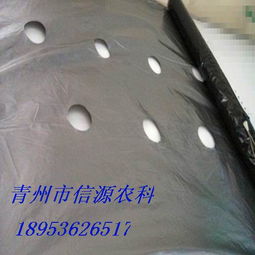 山東地區專業的銀黑雙色地膜 銀黑地膜圖片