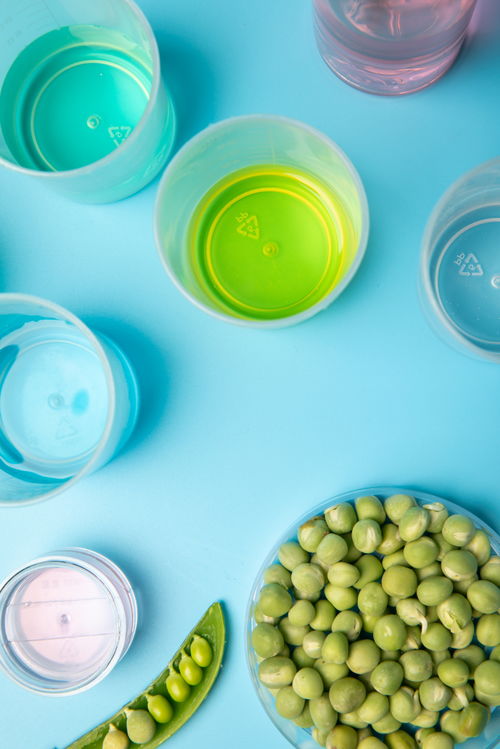 實(shí)驗(yàn)試劑豌豆農(nóng)業(yè)科技食品培育攝影圖 攝影圖 下載至來源處